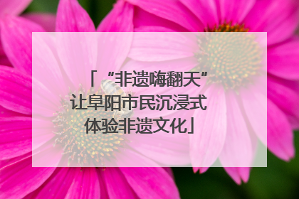 “非遗嗨翻天”让阜阳市民沉浸式体验非遗文化