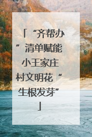 “齐帮办”清单赋能 小王家庄村文明花“生根发芽”