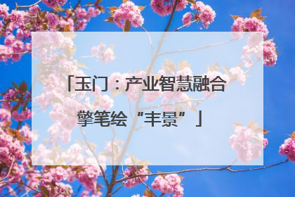 玉门：产业智慧融合 擎笔绘“丰景”