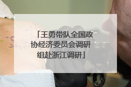 王勇带队全国政协经济委员会调研组赴浙江调研