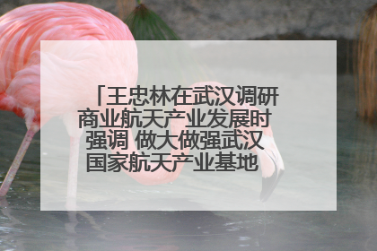 王忠林在武汉调研商业航天产业发展时强调 做大做强武汉国家航天产业基地 打造具有全国影响力的“中国星谷”