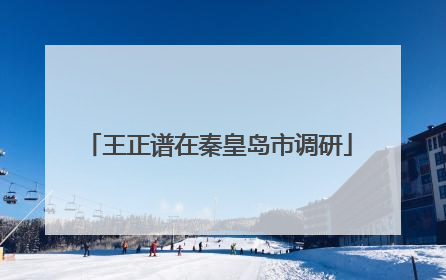 王正谱在秦皇岛市调研