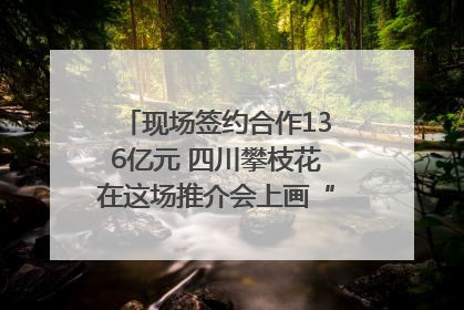 现场签约合作136亿元 四川攀枝花在这场推介会上画“图谱”列“清单”