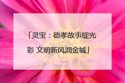 灵宝：德孝故事绽光彩 文明新风润金城