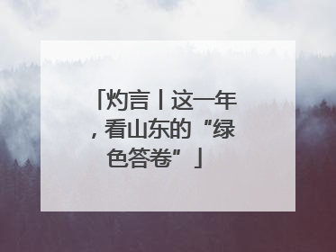 灼言丨这一年，看山东的“绿色答卷”