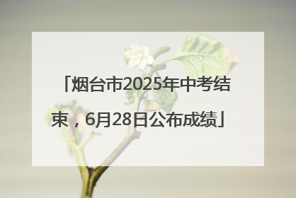 烟台市2025年中考结束，6月28日公布成绩