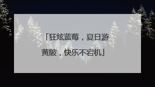 狂炫蓝莓，夏日游黄陂，快乐不宕机