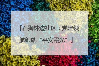 石狮林边社区：党建领航织就“平安霞光”