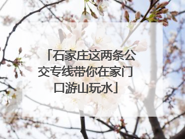 石家庄这两条公交专线带你在家门口游山玩水
