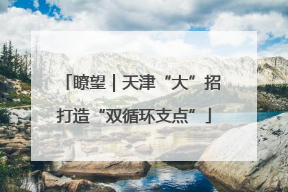 瞭望｜天津“大”招打造“双循环支点”