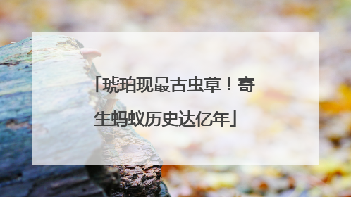 琥珀现最古虫草！寄生蚂蚁历史达亿年