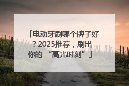 电动牙刷哪个牌子好？2025推荐，刷出你的 “高光时刻”