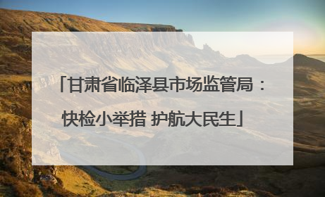 甘肃省临泽县市场监管局：快检小举措 护航大民生