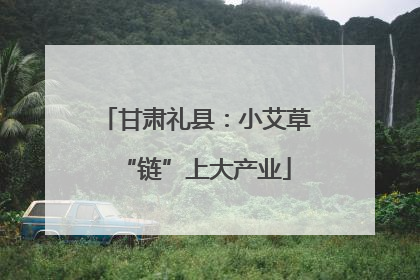 甘肃礼县：小艾草“链”上大产业