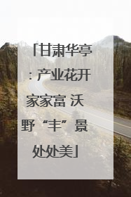 甘肃华亭：产业花开家家富 沃野“丰”景处处美