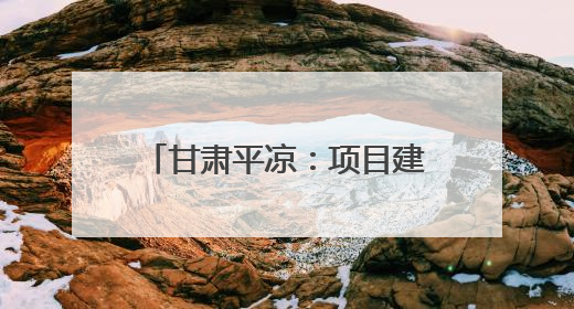 甘肃平凉：项目建设“引擎”轰鸣 高质量发展奋战正酣