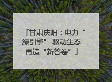 甘肃庆阳：电力“绿引擎” 驱动生态再造“新答卷”