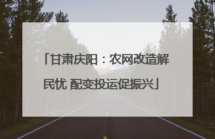 甘肃庆阳：农网改造解民忧 配变投运促振兴