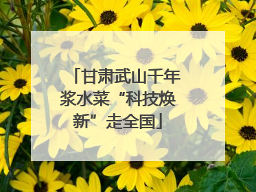 甘肃武山千年浆水菜“科技焕新”走全国
