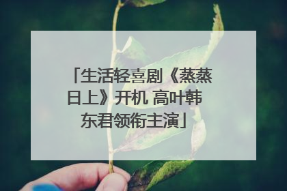 生活轻喜剧《蒸蒸日上》开机 高叶韩东君领衔主演