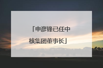 申彦锋已任中核集团董事长