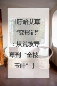 盱眙艾草“变形记”：从荒坡野草到“金枝玉叶”