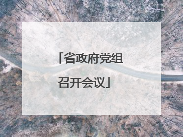 省政府党组召开会议