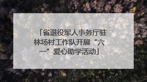 省退役军人事务厅驻林场村工作队开展“六一”爱心助学活动