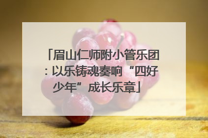 眉山仁师附小管乐团：以乐铸魂奏响“四好少年”成长乐章