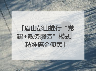 眉山彭山推行“党建+政务服务”模式 精准惠企便民