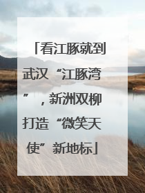 看江豚就到武汉“江豚湾”，新洲双柳打造“微笑天使”新地标