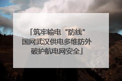 筑牢输电“防线” 国网武汉供电多维防外破护航电网安全