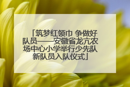 筑梦红领巾 争做好队员——安徽省龙亢农场中心小学举行少先队新队员入队仪式