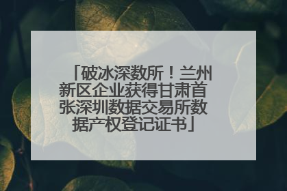 破冰深数所！兰州新区企业获得甘肃首张深圳数据交易所数据产权登记证书