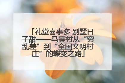 礼堂喜事多 别墅日子甜——马寨村从“穷乱差”到“全国文明村庄”的蝶变之路