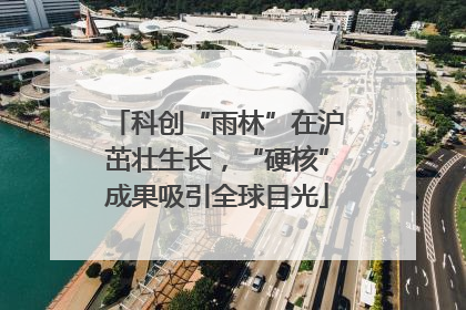 科创“雨林”在沪茁壮生长，“硬核”成果吸引全球目光