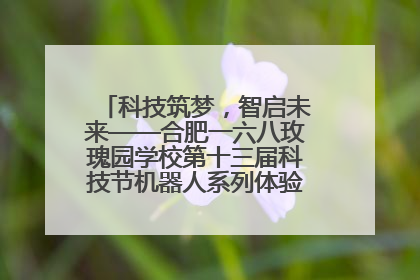 科技筑梦，智启未来——合肥一六八玫瑰园学校第十三届科技节机器人系列体验赛燃动校园