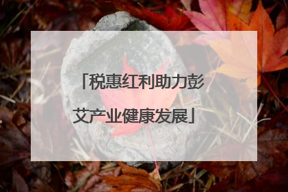 税惠红利助力彭艾产业健康发展