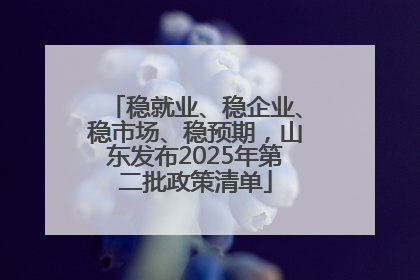 稳就业、稳企业、稳市场、稳预期，山东发布2025年第二批政策清单