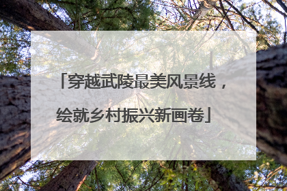 穿越武陵最美风景线，绘就乡村振兴新画卷