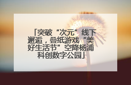 突破“次元”线下邂逅，叠纸游戏“美好生活节”空降杨浦科创数字公园