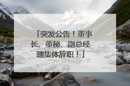 突发公告！董事长、董秘、副总经理集体辞职！