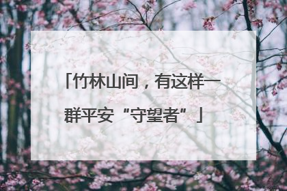 竹林山间，有这样一群平安“守望者”