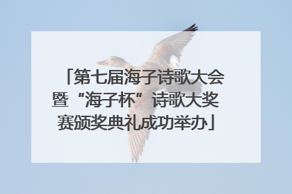 第七届海子诗歌大会暨“海子杯”诗歌大奖赛颁奖典礼成功举办