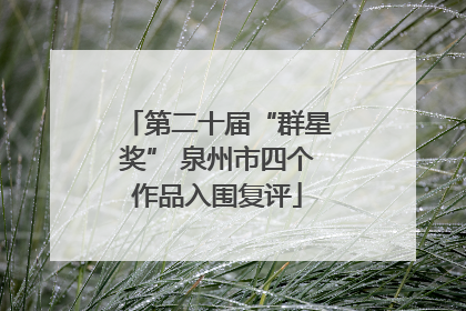 第二十届“群星奖” 泉州市四个作品入围复评