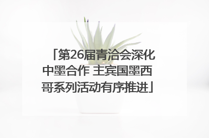 第26届青洽会深化中墨合作 主宾国墨西哥系列活动有序推进