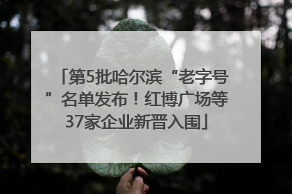 第5批哈尔滨“老字号”名单发布！红博广场等37家企业新晋入围
