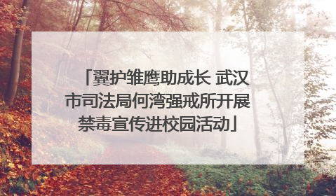 翼护雏鹰助成长 武汉市司法局何湾强戒所开展禁毒宣传进校园活动
