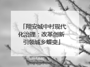 翔安城中村现代化治理：改革创新引领城乡蝶变