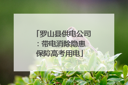 罗山县供电公司：带电消除隐患 保障高考用电